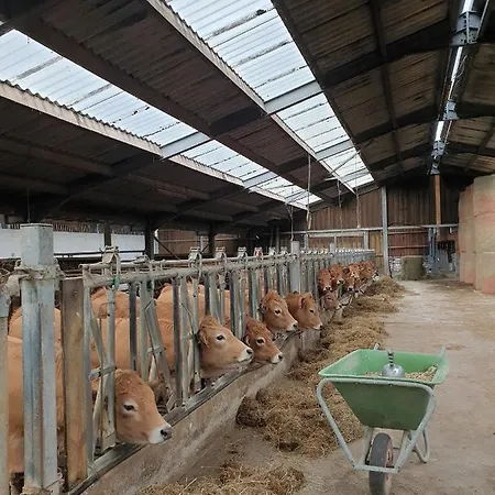 La Ferme Du Chateau De Broich B&B Plombières