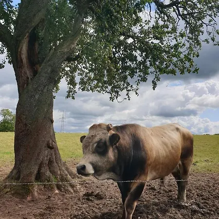La Ferme Du Chateau De Broich * Plombieres