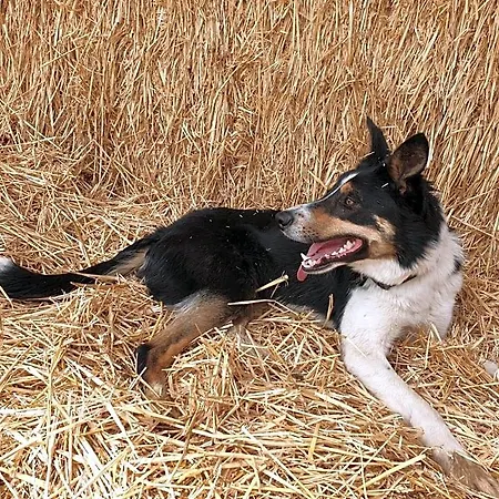 La Ferme Du Chateau De Broich 3*