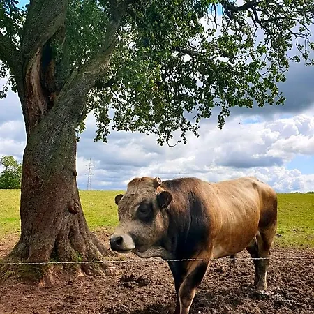 La Ferme Du Chateau De Broich 3*